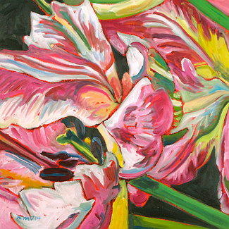 Pink and White Tulip Study No. 1