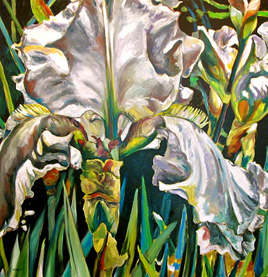 Large White Iris, Glory Days