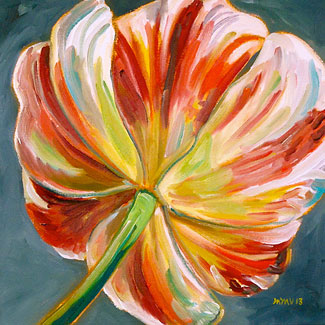 Red and White Tulip Study No. 3