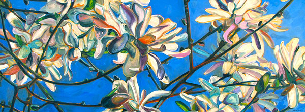 Magnolias With Blue Sky, Deeper Truth